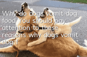 Why do dogs vomit dog food? You should pay attention to these reasons why dogs vomit dog food!