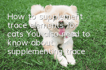 How to supplement trace elements for cats? You also need to know about supplementing trace elements for cats!