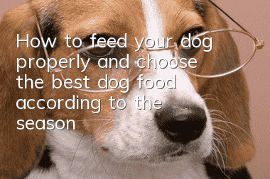 How to feed your dog properly and choose the best dog food according to the season