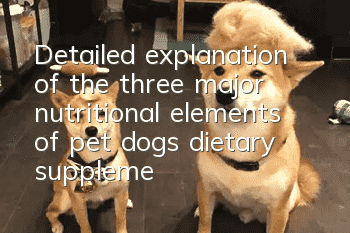 Detailed explanation of the three major nutritional elements of pet dogs: dietary supplements are the best way