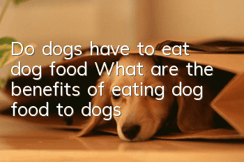 Do dogs have to eat dog food? What are the benefits of eating dog food to dogs?