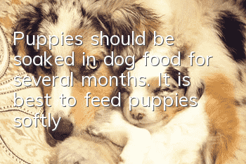 Puppies should be soaked in dog food for several months. It is best to feed puppies softly soaked dog food when weaning.