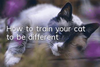 How to train your cat to be different
