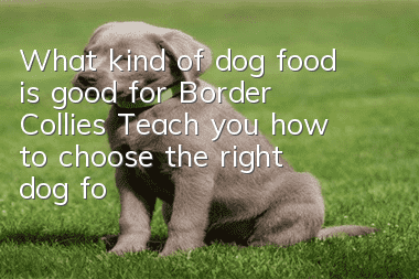 What kind of dog food is good for Border Collies? Teach you how to choose the right dog food
