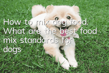 How to mix dog food. What are the best food mix standards for dogs?