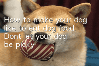 How to make your dog like to eat dog food. Don’t let your dog be picky!