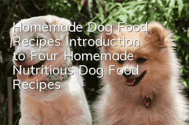 Homemade Dog Food Recipes Introduction to Four Homemade Nutritious Dog Food Recipes