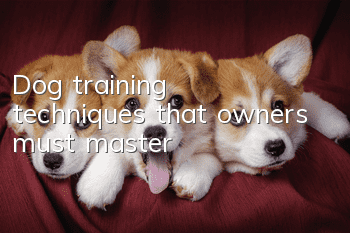 Dog training techniques that owners must master