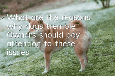 What are the reasons why dogs tremble? Owners should pay attention to these issues