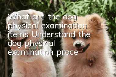 What are the dog physical examination items? Understand the dog physical examination process