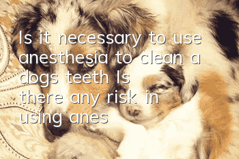 Is it necessary to use anesthesia to clean a dog’s teeth? Is there any risk in using anesthesia for a dog?