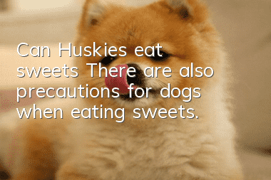 Can Huskies eat sweets? There are also precautions for dogs when eating sweets.