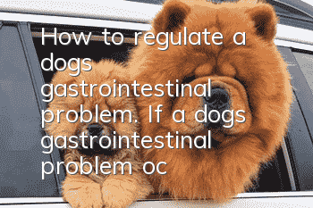 How to regulate a dog’s gastrointestinal problem. If a dog’s gastrointestinal problem occurs, it must be treated quickly!