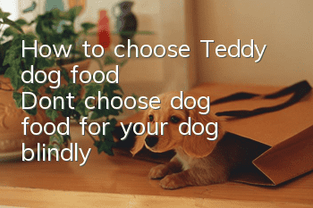 How to choose Teddy dog ​​food? Don’t choose dog food for your dog blindly