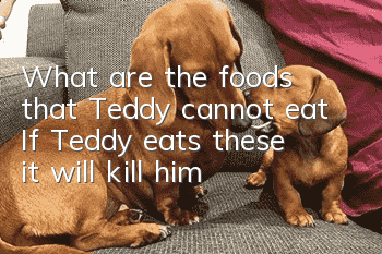What are the foods that Teddy cannot eat? If Teddy eats these, it will kill him!