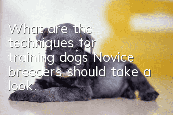 What are the techniques for training dogs? Novice breeders should take a look.