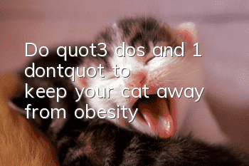 Do "3 dos and 1 don't" to keep your cat away from obesity