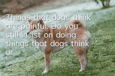 Things that dogs think are painful. Do you still insist on doing things that dogs think are painful?