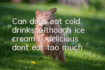 Can dogs eat cold drinks? Although ice cream is delicious, don’t eat too much