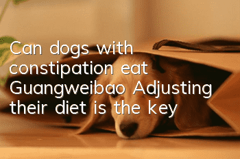 Can dogs with constipation eat Guangweibao? Adjusting their diet is the key