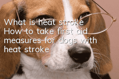 What is heat stroke? How to take first aid measures for dogs with heat stroke?