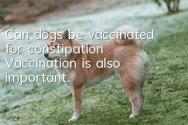 Can dogs be vaccinated for constipation? Vaccination is also important.