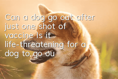 Can a dog go out after just one shot of vaccine? Is it life-threatening for a dog to go out after just one shot of vaccine?