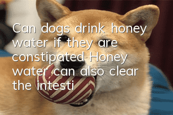 Can dogs drink honey water if they are constipated? Honey water can also clear the intestines