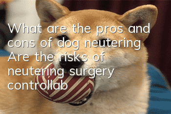 What are the pros and cons of dog neutering? Are the risks of neutering surgery controllable?
