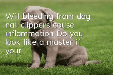 Will bleeding from dog nail clippers cause inflammation? Do you look like a master if your dog bleeds from nail clippers?