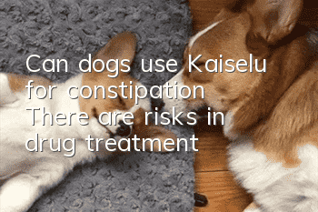 Can dogs use Kaiselu for constipation? There are risks in drug treatment