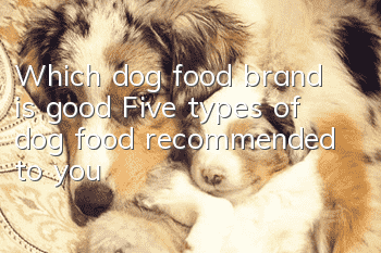 Which dog food brand is good? Five types of dog food recommended to you