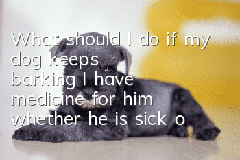 What should I do if my dog keeps barking? I have medicine for him whether he is sick or not.