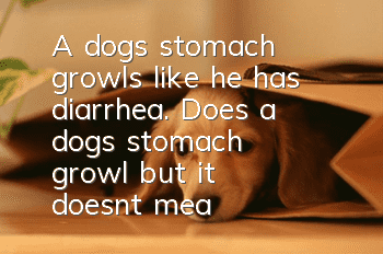 A dog's stomach growls like he has diarrhea. Does a dog's stomach growl but it doesn't mean he has diarrhea? Do you know the reason?