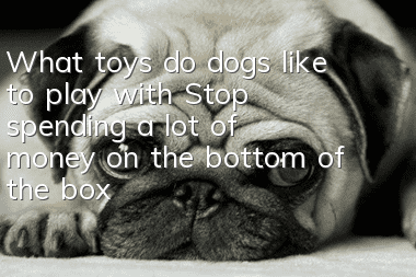 What toys do dogs like to play with? Stop spending a lot of money on the bottom of the box.