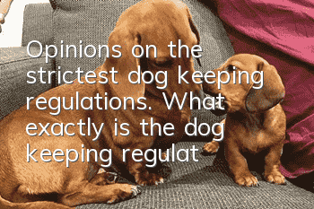 Opinions on the strictest dog keeping regulations. What exactly is the dog keeping regulations?