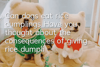 Can dogs eat rice dumplings? Have you thought about the consequences of giving rice dumplings to dogs?