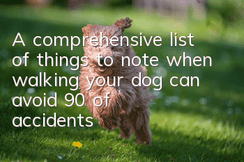 A comprehensive list of things to note when walking your dog can avoid 90% of accidents!