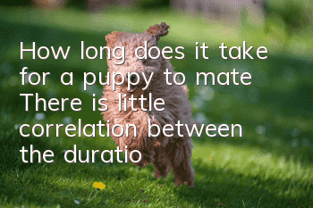 How long does it take for a puppy to mate? There is little correlation between the duration of mating and the success of mating.