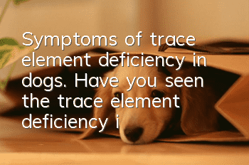 Symptoms of trace element deficiency in dogs. Have you seen the trace element deficiency in dogs?