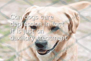 Can dogs cure depression? In fact, it is just an auxiliary treatment