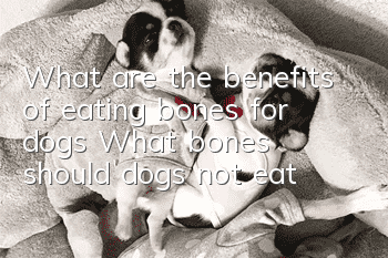 What are the benefits of eating bones for dogs? What bones should dogs not eat?