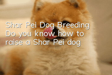 Shar Pei Dog Breeding Do you know how to raise a Shar Pei dog?