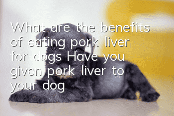 What are the benefits of eating pork liver for dogs? Have you given pork liver to your dog?