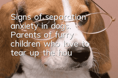 Signs of separation anxiety in dogs. Parents of furry children who love to tear up the house should take a look.