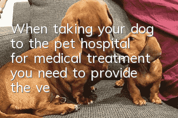 When taking your dog to the pet hospital for medical treatment, you need to provide the veterinarian with these 9 pieces of information