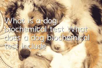 What is a dog biochemical test? What does a dog biochemical test include?