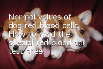 Normal values of dog red blood cells. How to read the special red blood cell test sheet