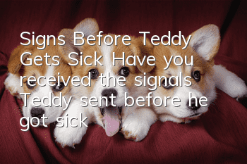 Signs Before Teddy Gets Sick Have you received the signals Teddy sent before he got sick?