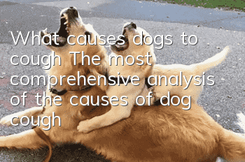 What causes dogs to cough? The most comprehensive analysis of the causes of dog cough